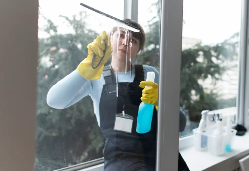 Nettoyage de vitres intérieures et extérieures à Saint-Genis-les-Ollières